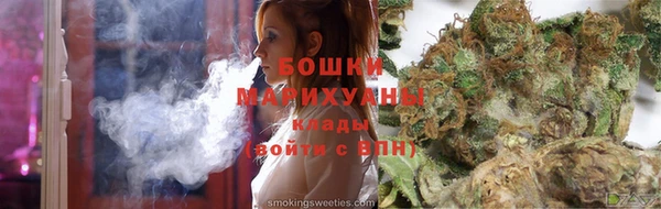 ECSTASY Алзамай
